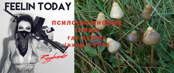 кокаин колумбия Лиски