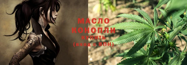 гашик Ладушкин