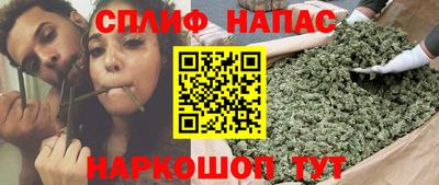 Альфа ПВП Бийск