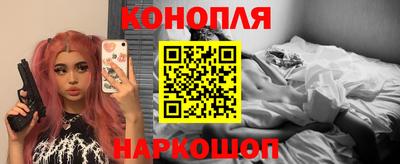 Альфа ПВП Бийск