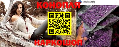 Альфа ПВП Бийск