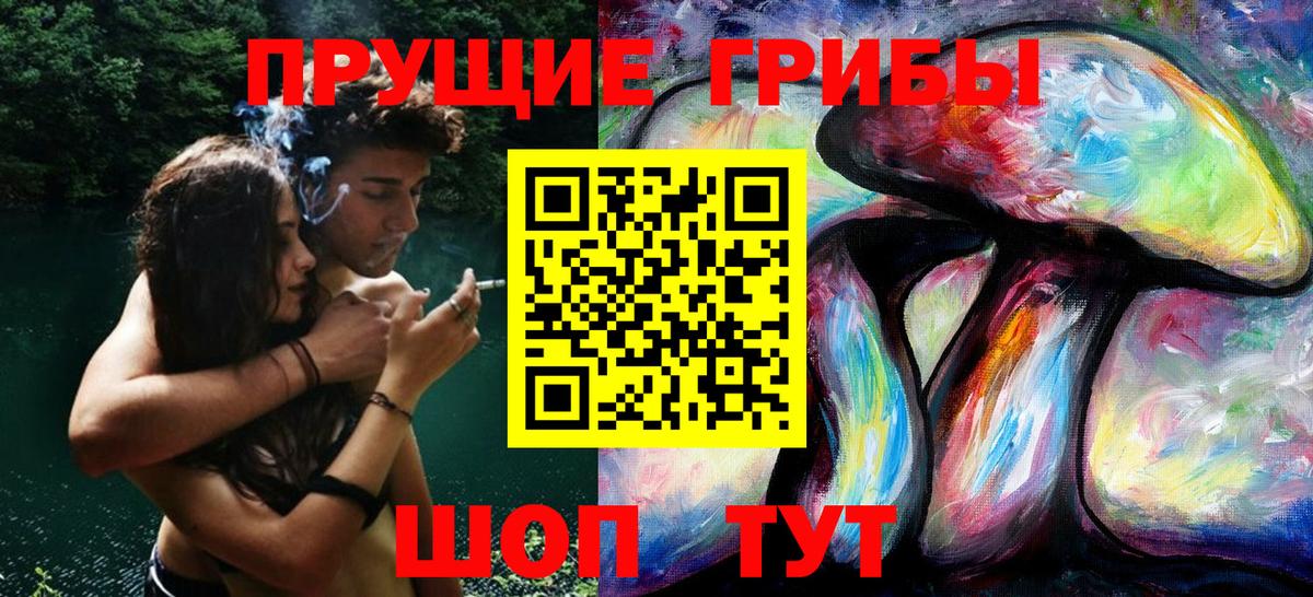 Галлюциногенные грибы Magic Shrooms  Черняховск  Псилоцибиновые грибы MAGIC MUSHROOMS 