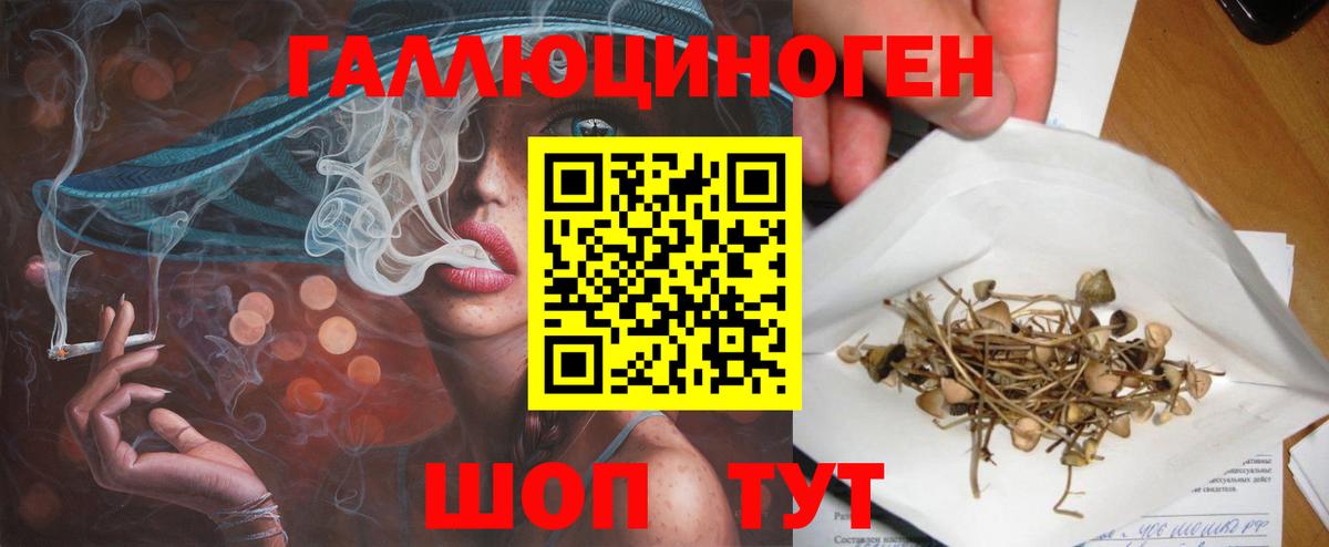Псилоцибиновые грибы мухоморы Черняховск