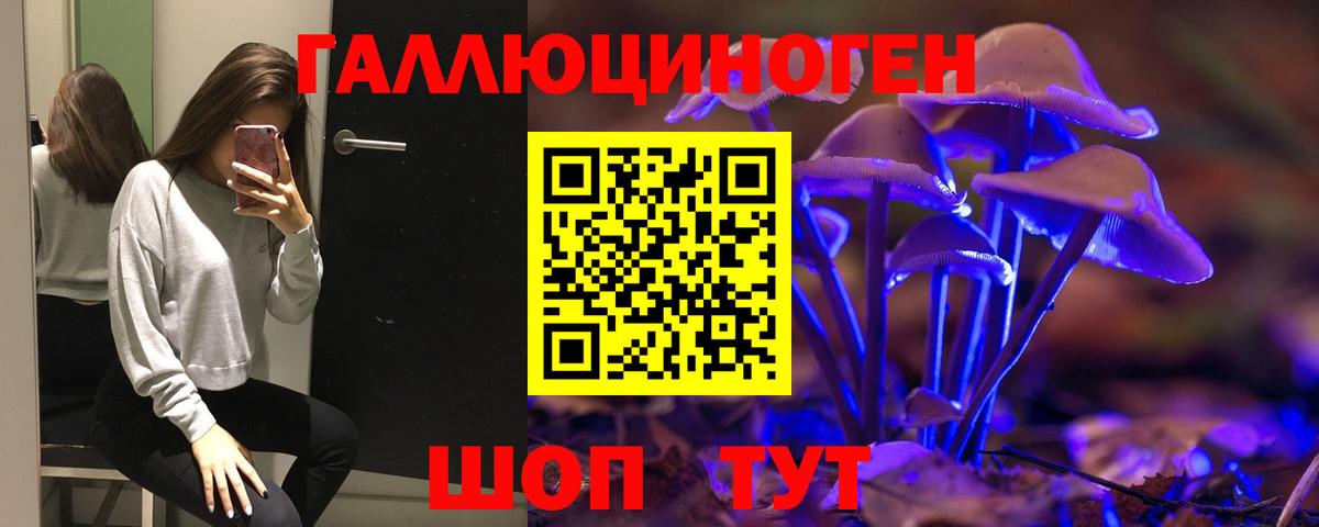 Псилоцибиновые грибы MAGIC MUSHROOMS  Вход с VPN  Псилоцибиновые грибы ЛСД  где купить наркотик  Черняховск 