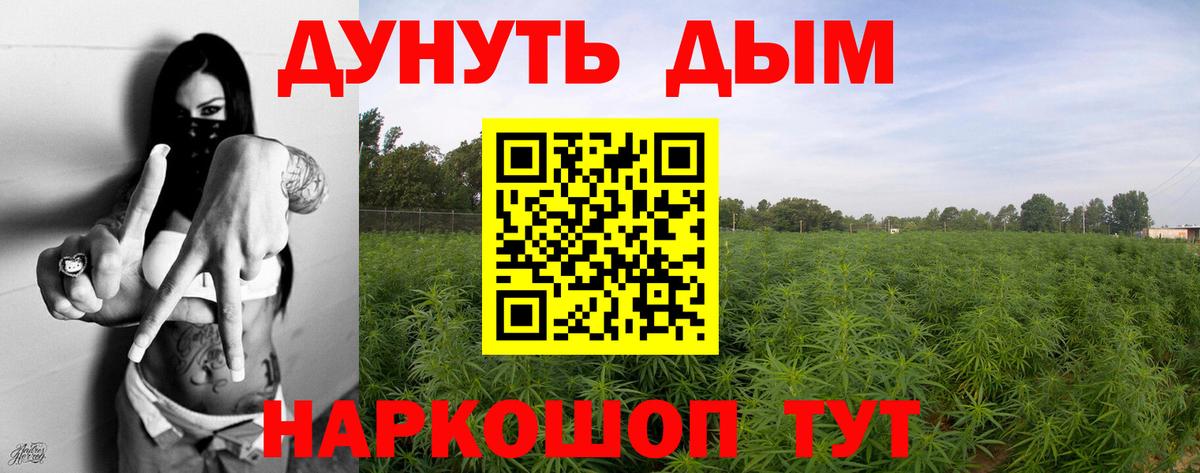 Шишки марихуана индика Черняховск